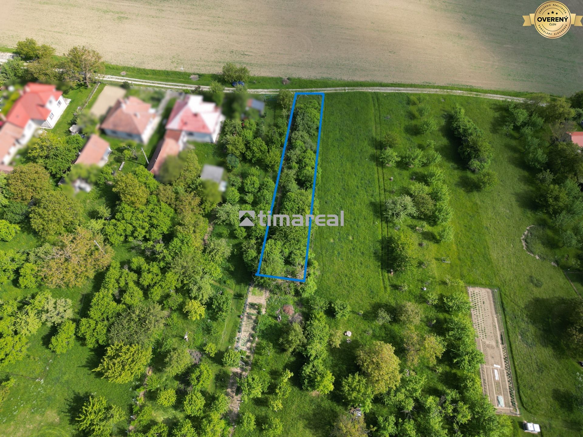 DJI_0924.JPG