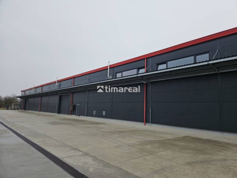 WhatsApp Image 2025-11-21 at 10.02.47 (2).jpeg